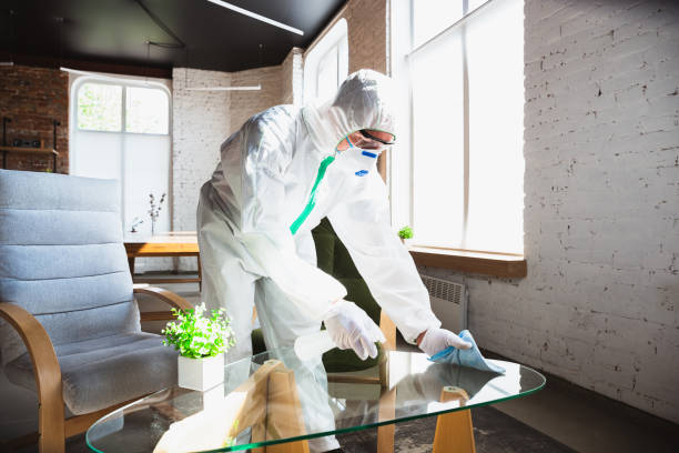 Professional Mold Removal Services in Bogota, NJ