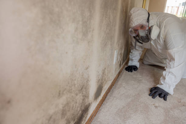 Forensic Mold Investigation in Bogota, NJ